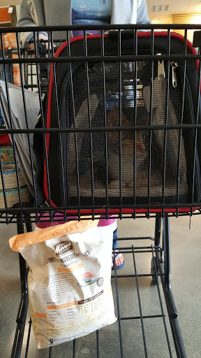 Pet Supply Store «Petco Animal Supplies», reviews and photos, 2910 Wilshire Blvd, Santa Monica, CA 90403, USA