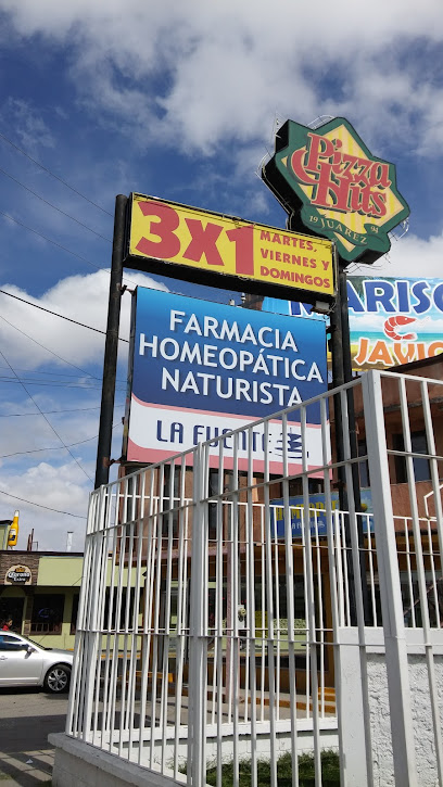 Farmacia Homeopática La Fuente 172, San Lorenzo, Era De San Lorenzo, 32320 Cd Juarez, Chih. Mexico