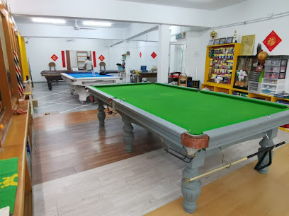Professional Pool & Snooker