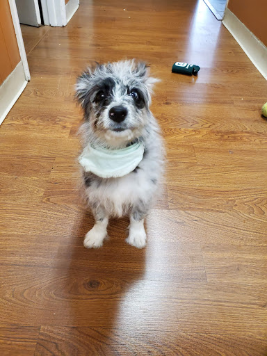 Roofing Contractor «Truett Roofing», reviews and photos, 210 S Pattie St, Wichita, KS 67211, USA