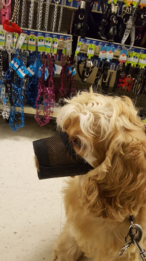 Pet Supply Store «PetSmart», reviews and photos, 33963 Doheny Park Rd, San Juan Capistrano, CA 92675, USA