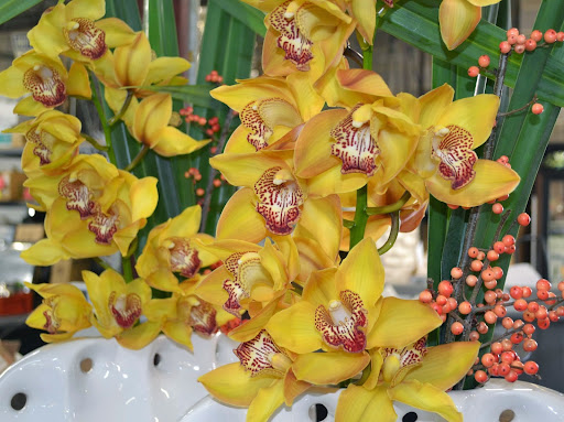 Florist «Dr Delphinium Flower & Orchid House», reviews and photos, 513 W Campbell Rd, Richardson, TX 75080, USA