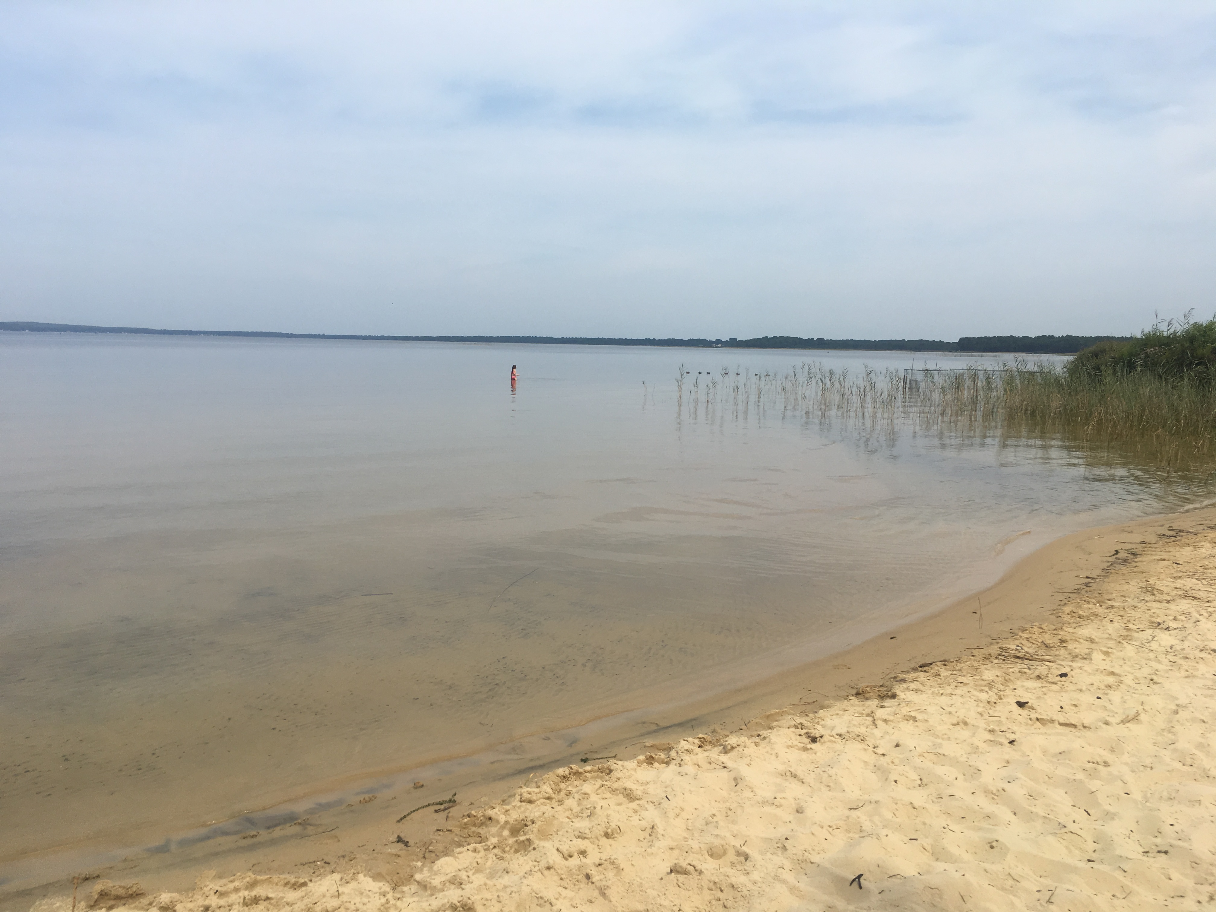 Photo n° 1 de l'avis de Bernadette.a fait le 26/08/2019 à 14:43