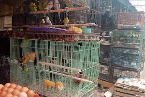 Pasar Burung/hewan Hias image