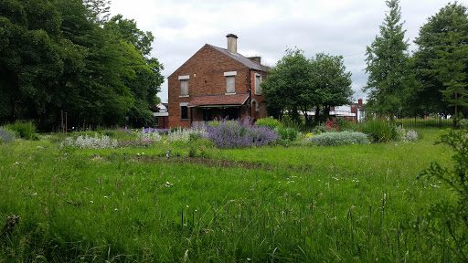 Derby Arboretum (Arboretum Park)