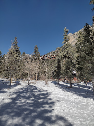 Echo Trail