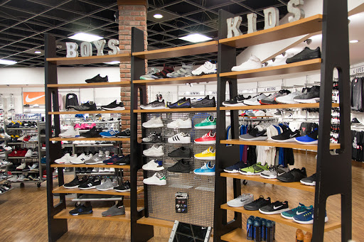 Sporting Goods Store «Allsports», reviews and photos, 3401 Nicholasville Rd C330, Lexington, KY 40503, USA