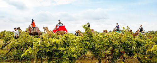 Agence événementielle TCHIN&Co Gaillac