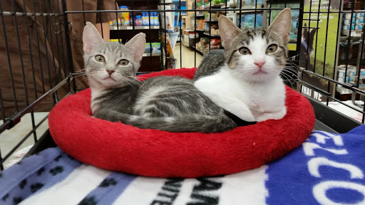 Pet Supply Store «Petco Animal Supplies», reviews and photos, 13311 20th Ave, College Point, NY 11356, USA