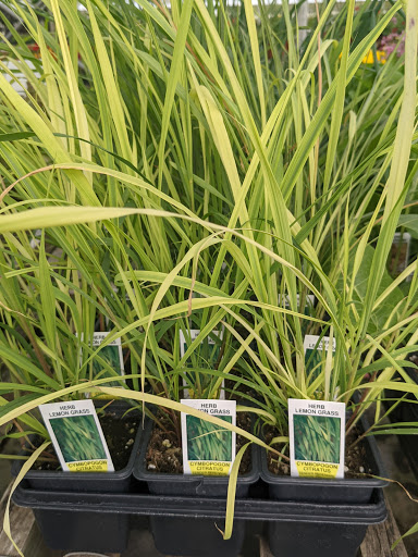 Wholesale Plant Nursery «Garden Fantasy», reviews and photos, 43250 Tyler Rd, Belleville, MI 48111, USA