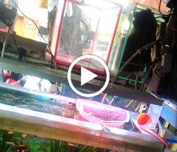 Iqbal Aquarium photo