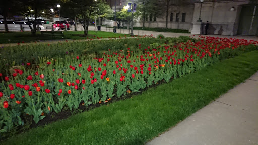 Stadium «Soldier Field», reviews and photos, 1410 Museum Campus Dr, Chicago, IL 60605, USA