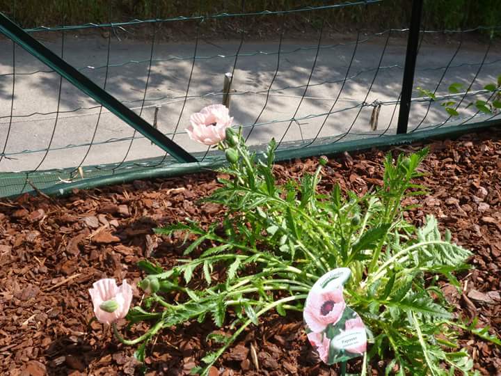 Photo n° 14 de l'avis de Myriam.i fait le 02/04/2017 à 10:30
