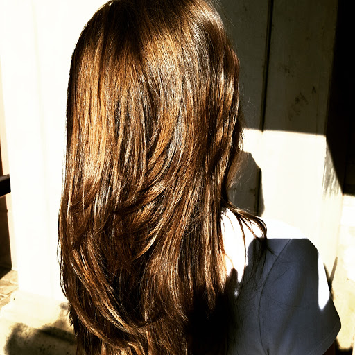 Hair Salon «Regis Signature Salon», reviews and photos, 4200 Conroy Rd #200, Orlando, FL 32839, USA