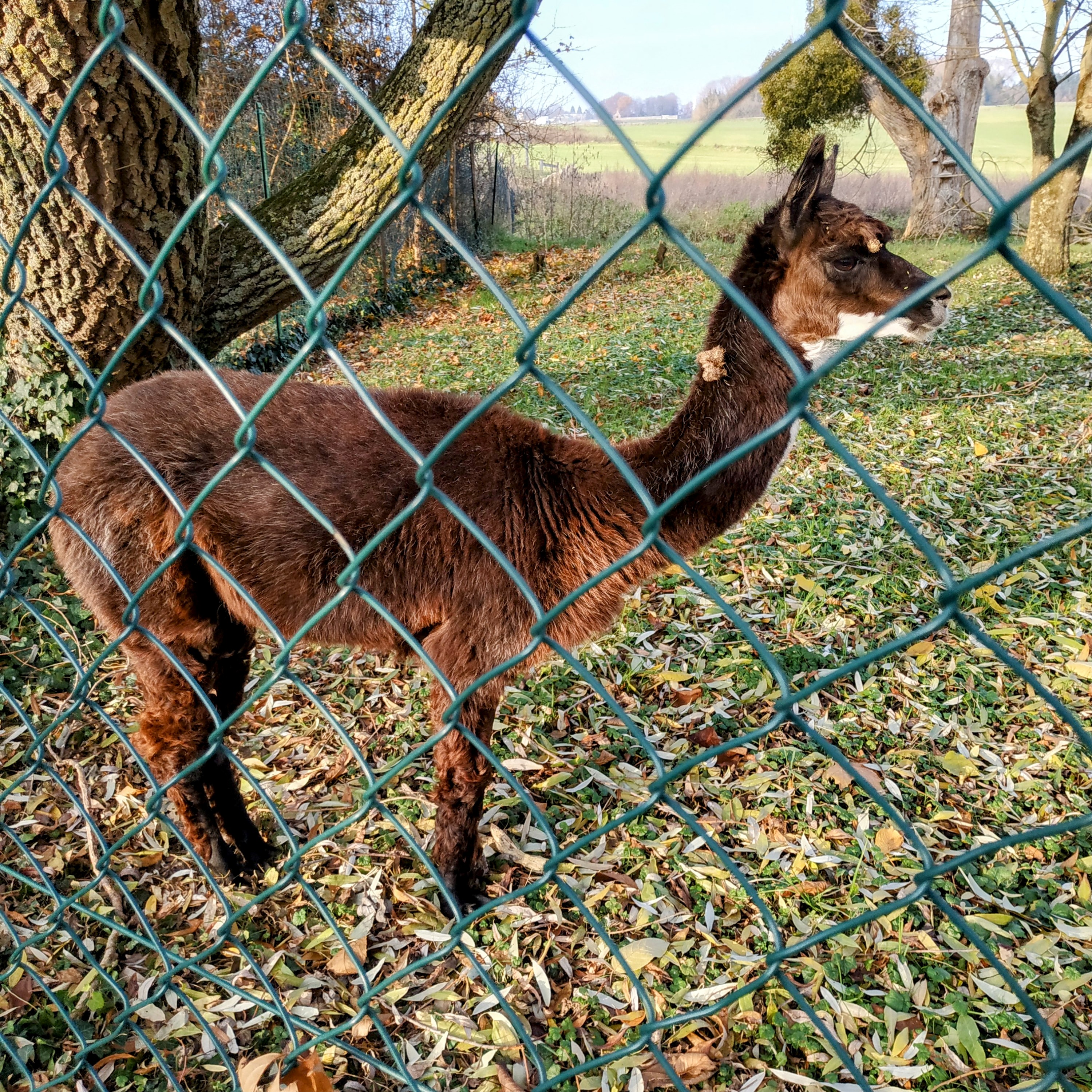 Photo n° 17 de l'avis de The.a fait le 12/12/2022 à 16:29