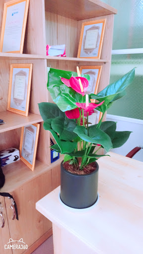 DU HỌC ĐỒNG ĐỘI chi nhánh Ninh Thuận