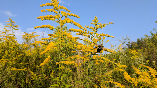 Park «Sodalis Nature Park», reviews and photos, 7700 S County Rd 975 E, Plainfield, IN 46168, USA