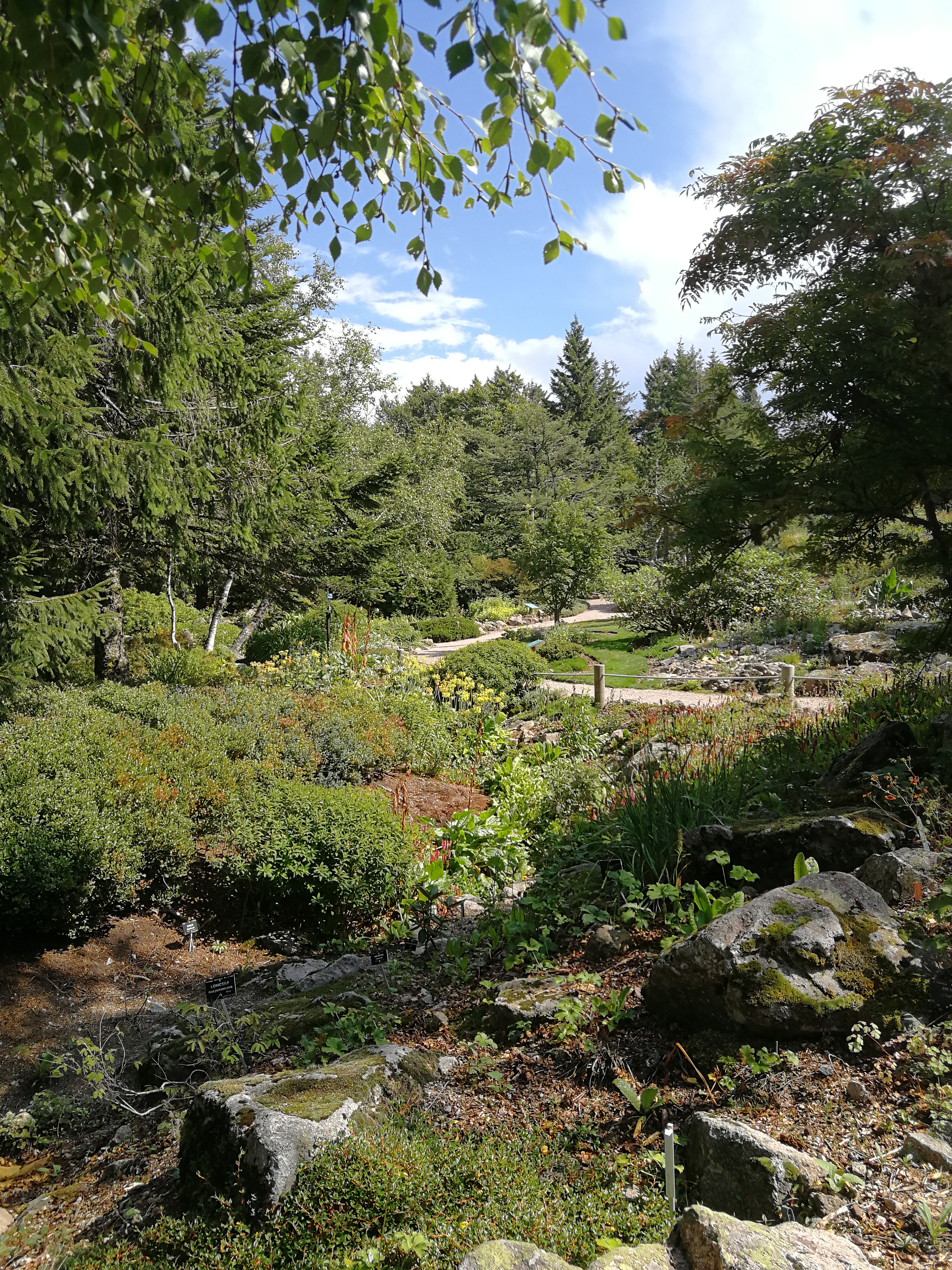 Photo n° 5 de l'avis de Matthieu.i fait le 28/08/2019 à 09:48