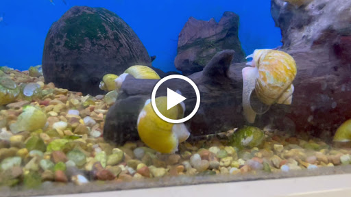 Pet Supply Store «Petco Animal Supplies», reviews and photos, 1169 Valley River Dr, Eugene, OR 97401, USA