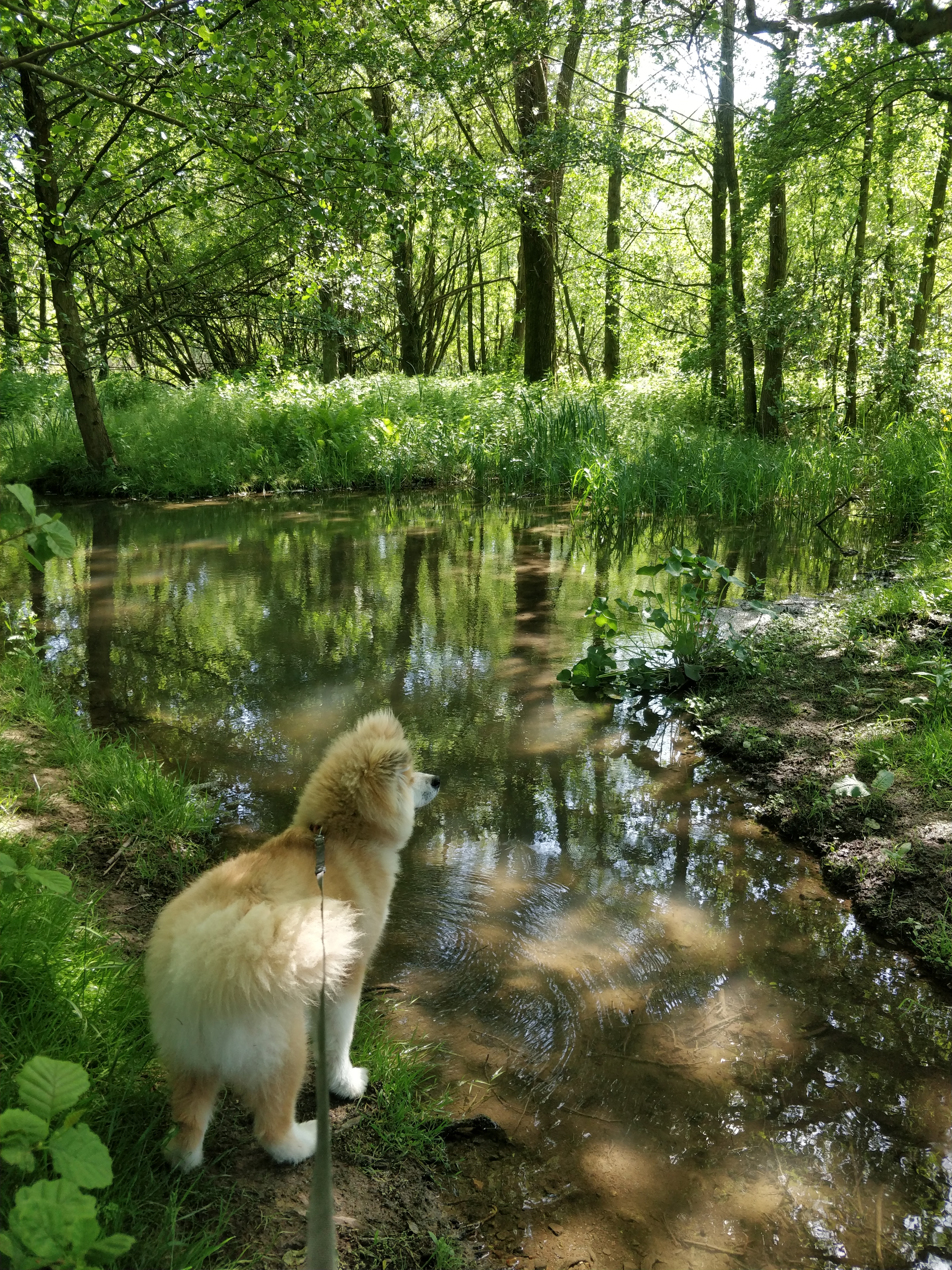 Photo n° 2 de l'avis de Snaw.l fait le 21/05/2022 à 17:27