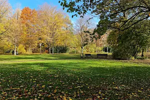 Volks Park image
