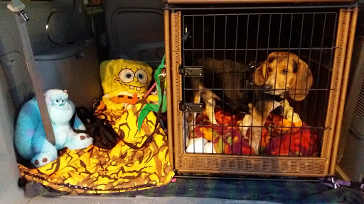 Pet Supply Store «Mud Bay», reviews and photos, 1018 164th St SE, Mill Creek, WA 98012, USA