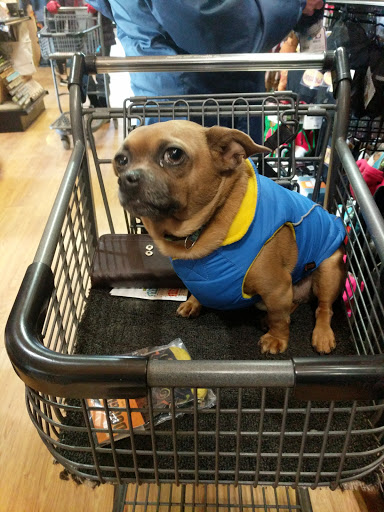 Animal Feed Store «West Lebanon Feed & Supply», reviews and photos, 12 Railroad Ave, West Lebanon, NH 03784, USA