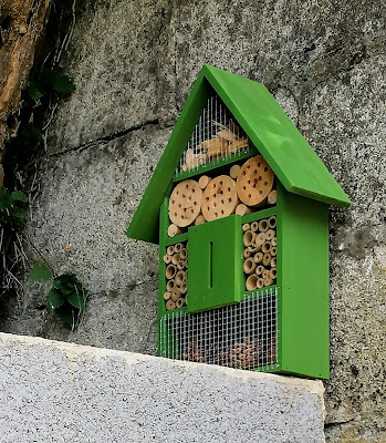 Gîte Le Lézard Vert à Béthisy-Saint-Pierre
