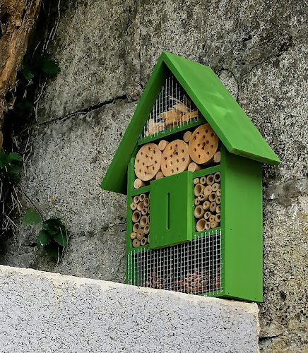 Gîte Le Lézard Vert à Béthisy-Saint-Pierre