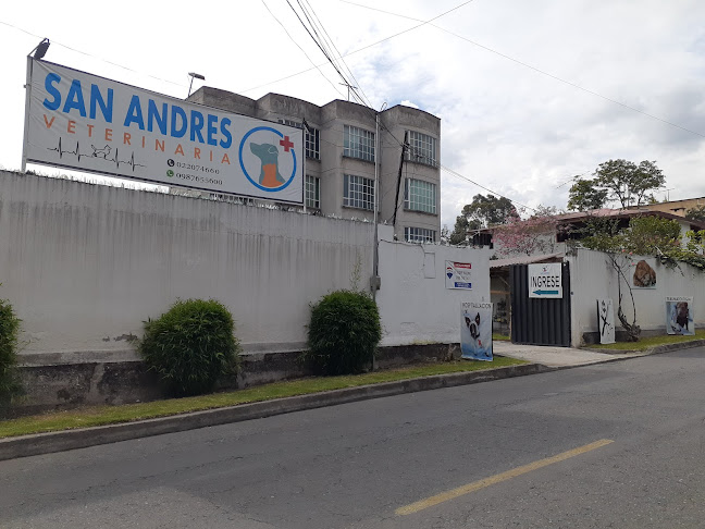 Veterinaria San Andrés