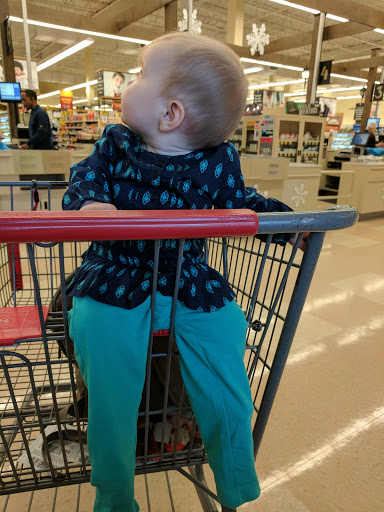 Grocery Store «Food Lion», reviews and photos, 907 S Chapel St, Newark, DE 19713, USA