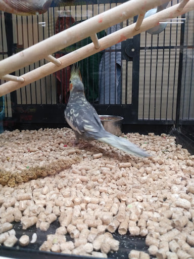 Pet Supply Store «PetSmart», reviews and photos, 300 NJ-18, East Brunswick, NJ 08816, USA