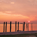 Photo n°1 de l'avis de Tom.. fait le 18/10/2020 à 06:05 sur le  PICNIC Burano à Venice