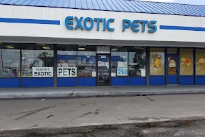 Fosters Exotic Pet Center image