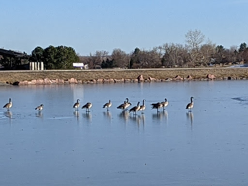 Park «Carpenter Park», reviews and photos, 3498 E 112th Ave, Thornton, CO 80233, USA