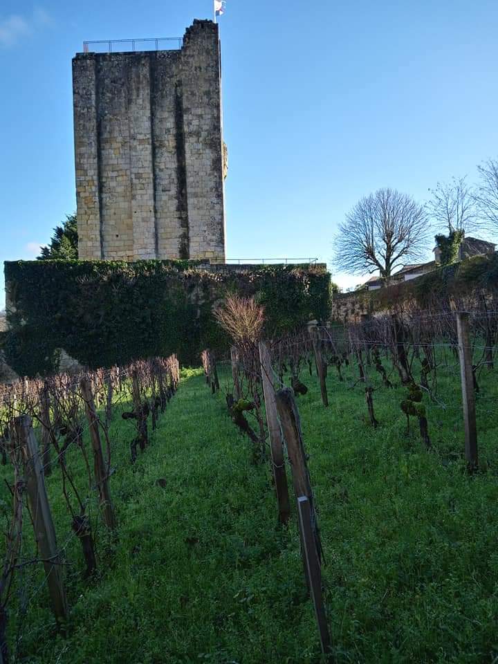 Photo n° 3 de l'avis de Luciana.e fait le 12/08/2020 à 22:42