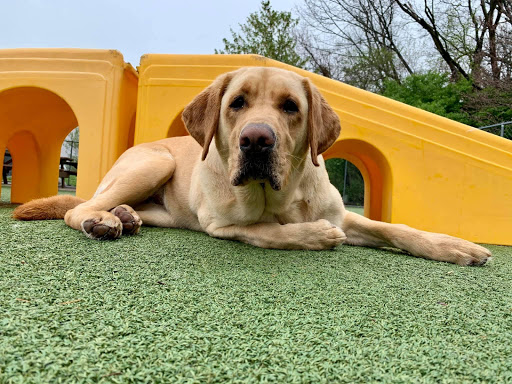 Pet Store «Happy, Clean and Smart», reviews and photos, 5700 W Kilgore Ave, Muncie, IN 47304, USA