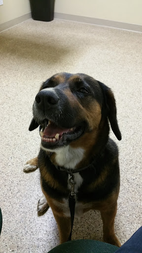 Pet Supply Store «Veterinary Medical Center and Specialty Pet Supply», reviews and photos, 8165 Morro Rd, Atascadero, CA 93422, USA