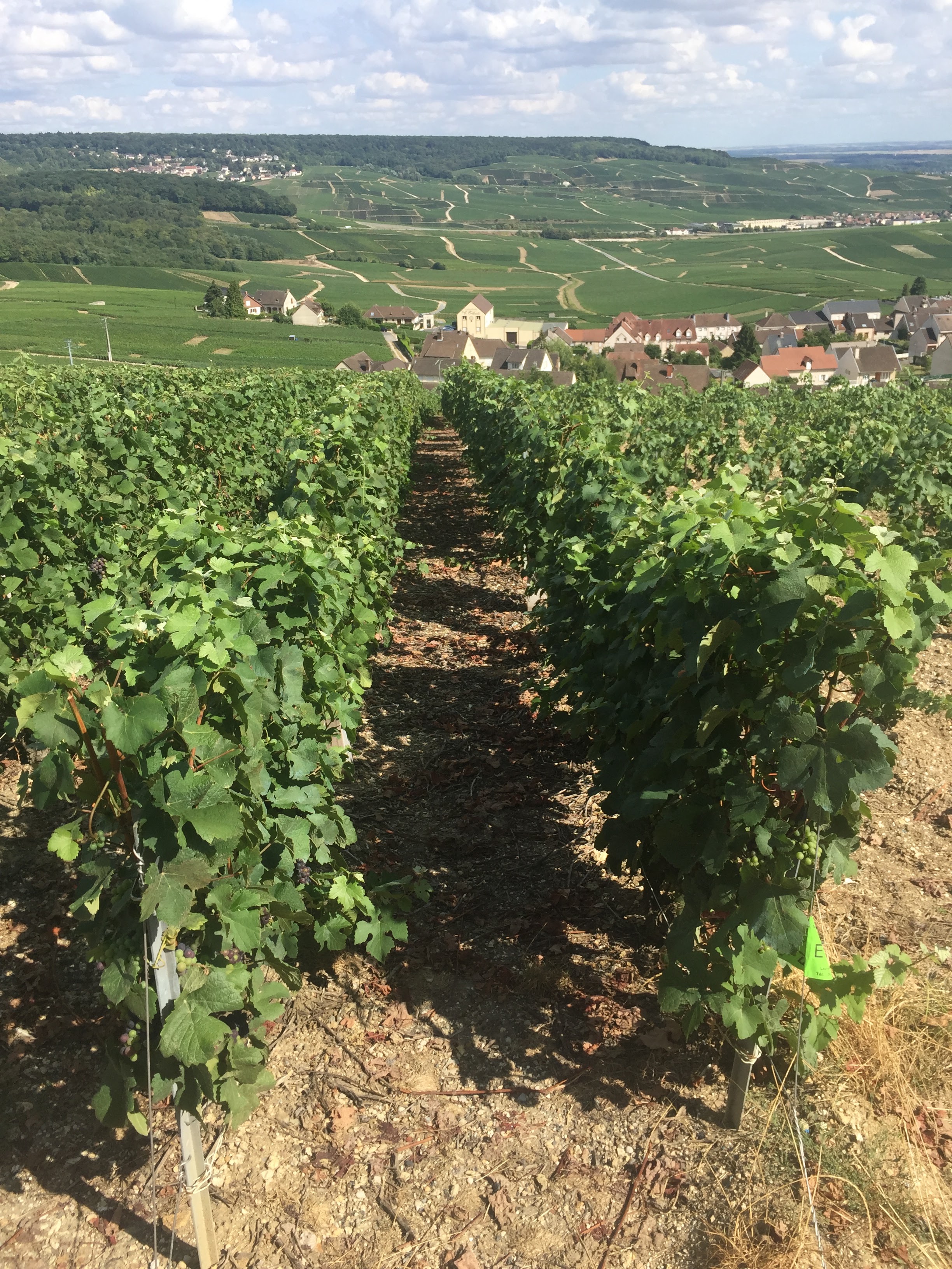Photo n° 5 de l'avis de Andries.a fait le 21/08/2018 à 19:52