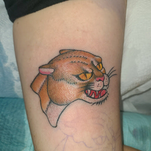 Explore celtic sleeve tattoo ideas, creative tattoo ideas in New Orleans, available at Downtown Tattoos and Piercing