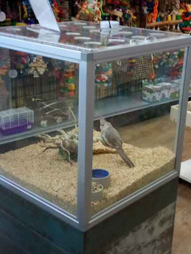 Pet Store «Ark Pet Shop», reviews and photos, 2400 W Lincoln Hwy, Merrillville, IN 46410, USA