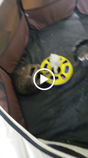 Pet Store «Pet Valu», reviews and photos, 49 East City Line Ave, Bala Cynwyd, PA 19004, USA