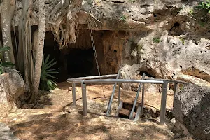 Cenote familiar y cercano image