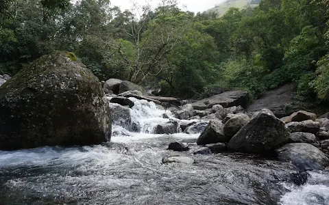 Discover Wayanad image