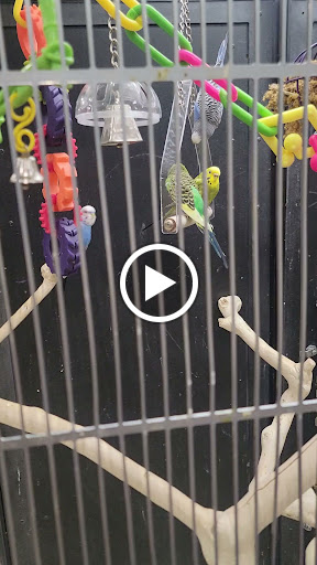 Pet Supply Store «Petco Animal Supplies», reviews and photos, 551 W Hampden Ave, Englewood, CO 80110, USA