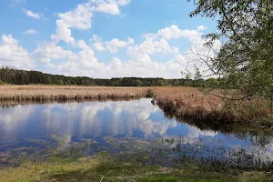 Jezioro Mały Ług image