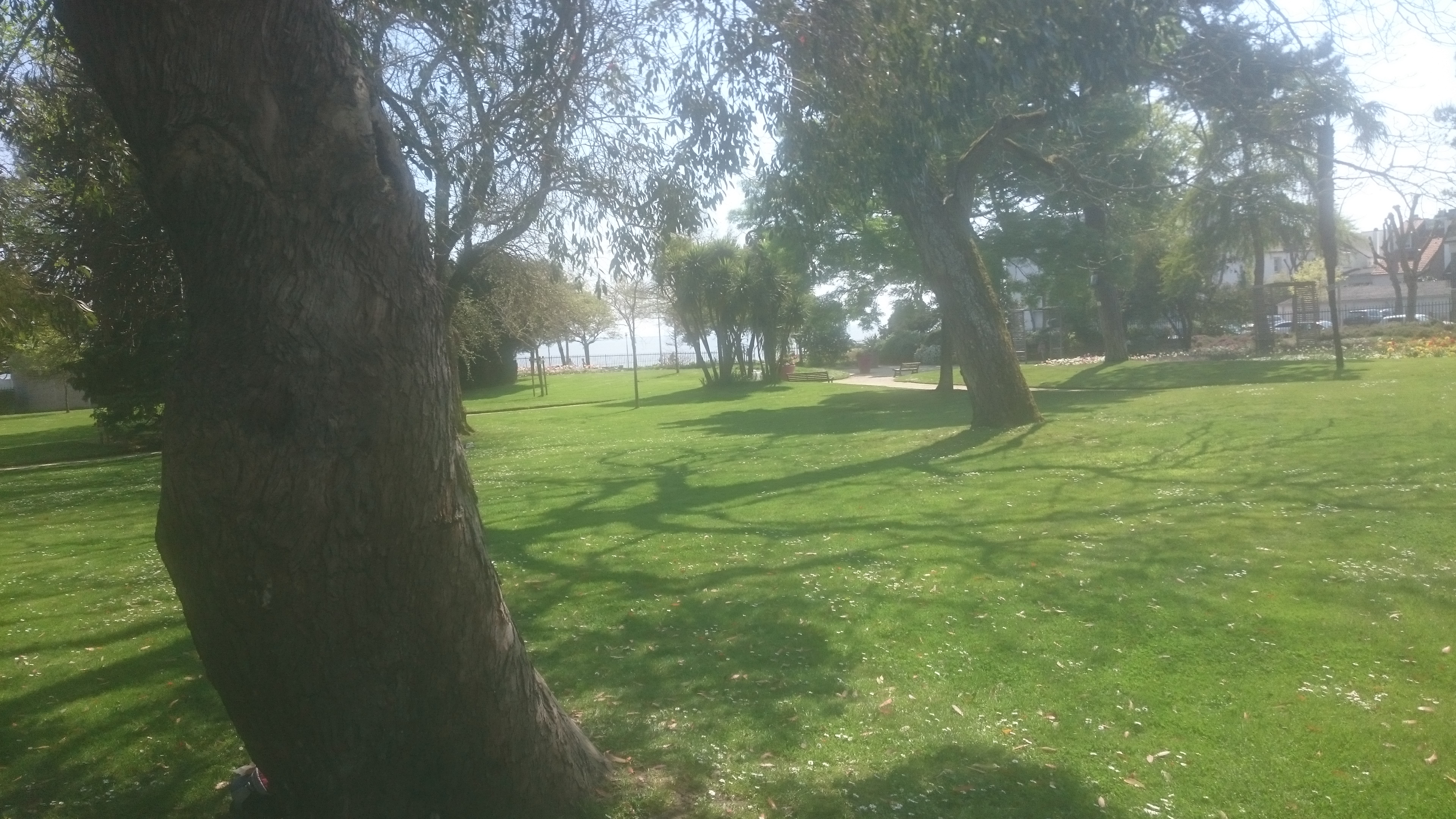 Photo n° 2 de l'avis de reault.l fait le 20/04/2019 à 20:28