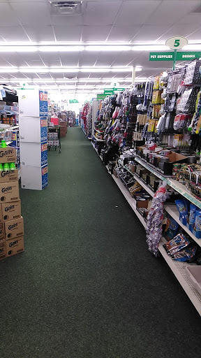 Dollar Store «Dollar Tree», reviews and photos, 1723 TX-100 Unit 1, Port Isabel, TX 78578, USA