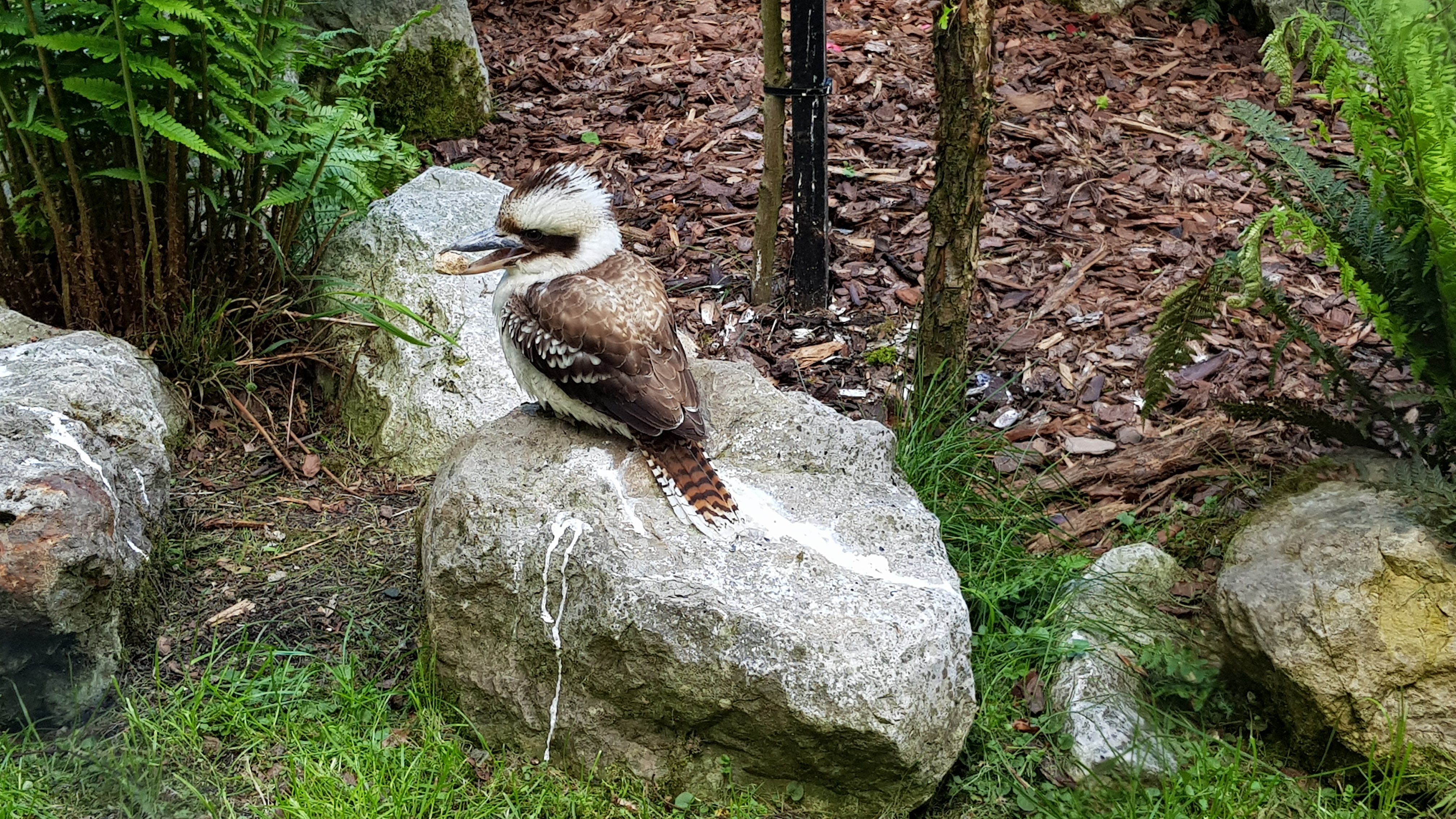 Photo n° 14 de l'avis de Tirlipinpon.u fait le 12/05/2019 à 18:48