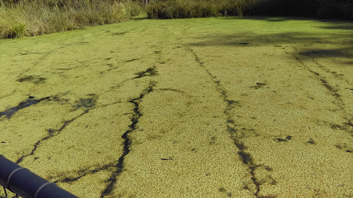 Park «Glenwood Gardens», reviews and photos, 10397 Springfield Pike, Cincinnati, OH 45215, USA